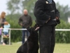 dodge-bewaken-pwselectie