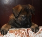 Ike 030109