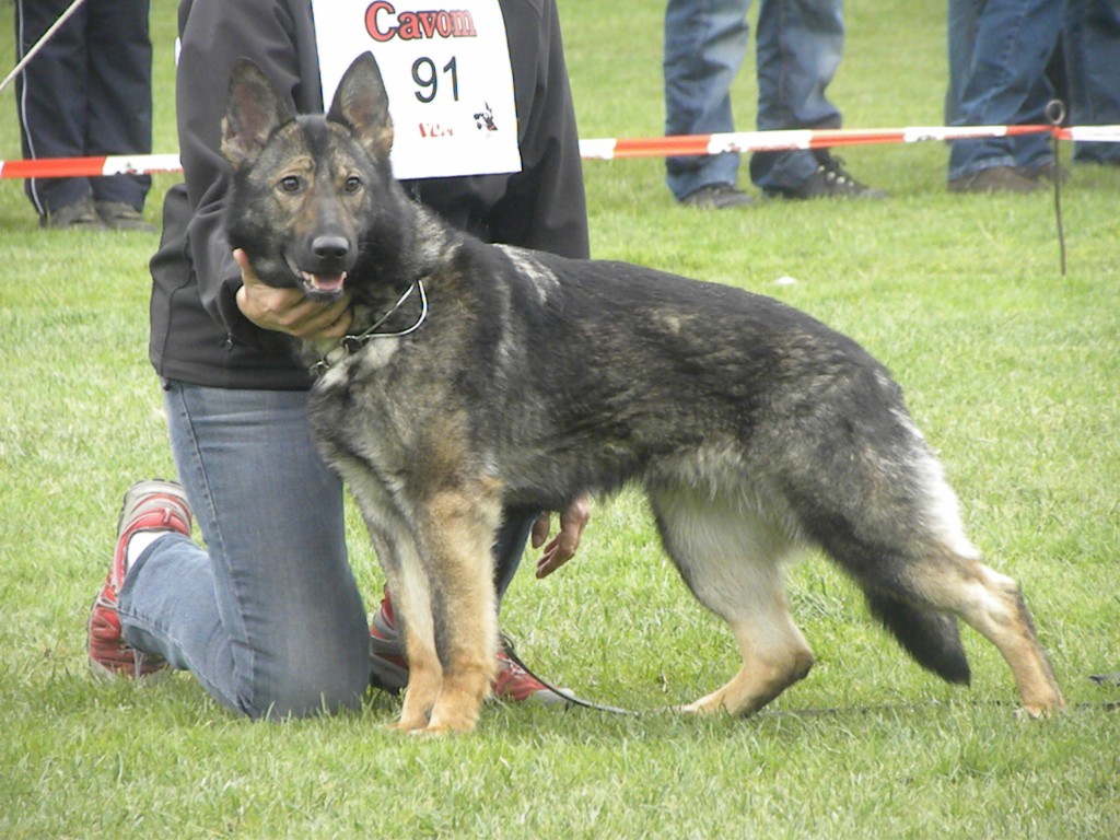 Jabari-Iris Kiridesja